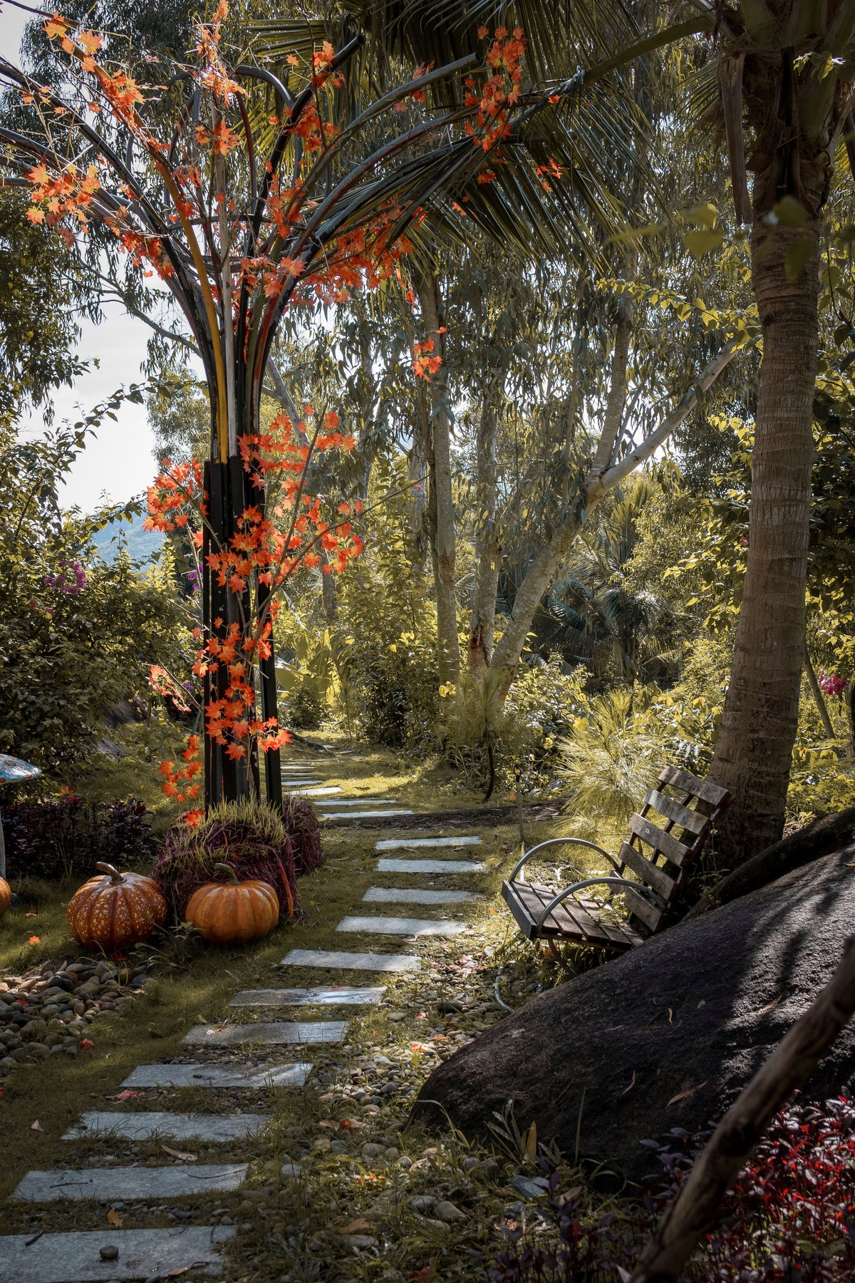 Garden & Outdoor