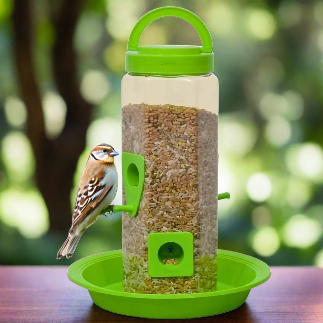 Bird Feeder for Outdoor Garden